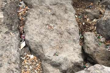 Limpieza de la escollera sur del muelle de Taliarte (Foto Pedro Martel/Wendy Cruz)